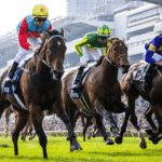 Understanding Horse Racing Culture