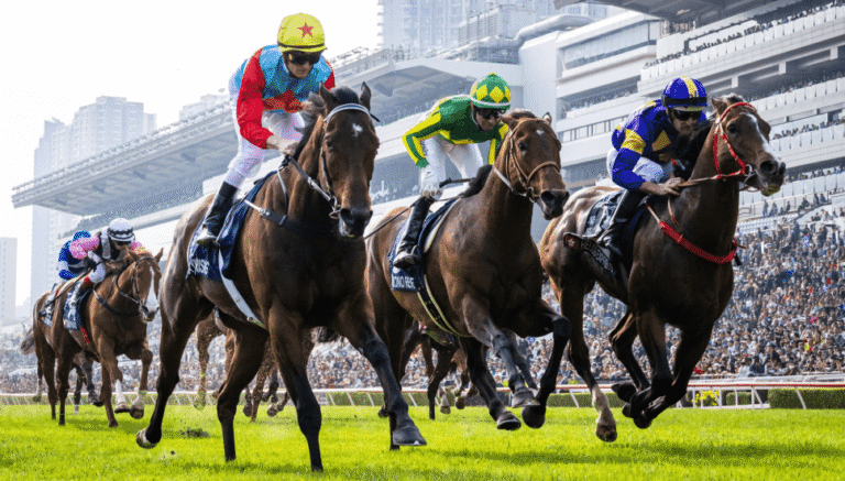 Understanding Horse Racing Culture