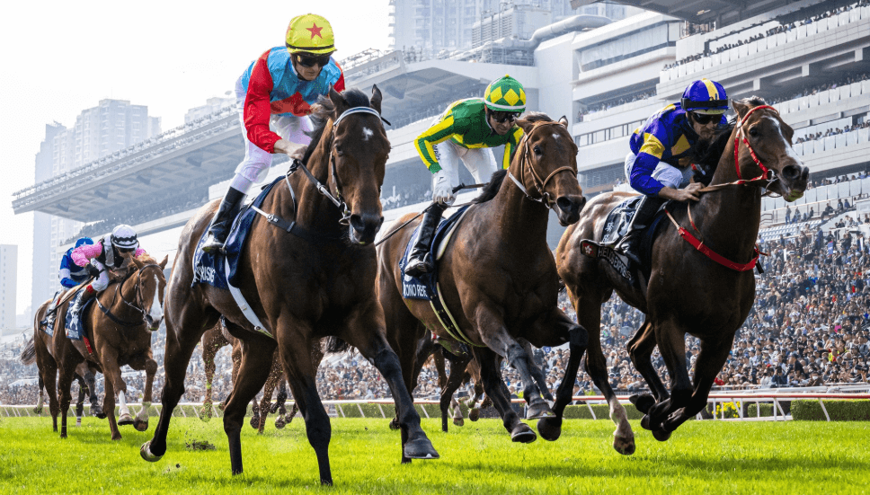 Understanding Horse Racing Culture