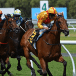 Understanding Horse Racing Form Guides