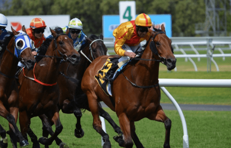 Understanding Horse Racing Form Guides