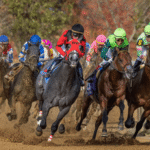 Understanding Horse Racing Numbers and Ratings
