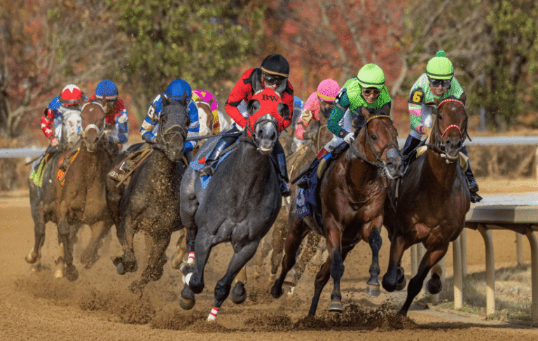 Understanding Horse Racing Numbers and Ratings