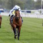 Understanding Horse Racing Terminology: A Beginner's Guide