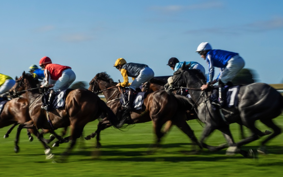 solution turf || la solution du turf